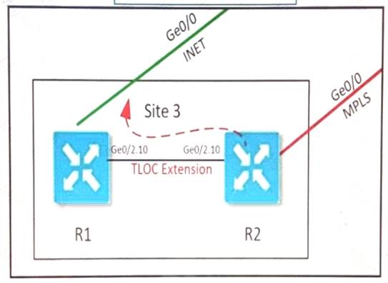 300-415 dumps exhibit