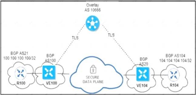 300-415 dumps exhibit