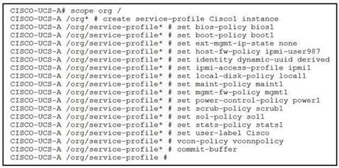 350-601 dumps exhibit