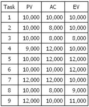 CAPM dumps exhibit