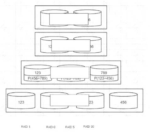 CISSP dumps exhibit