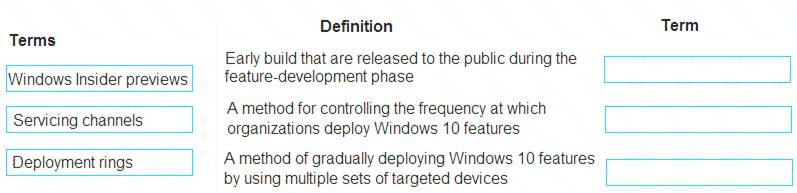 MS-900 dumps exhibit